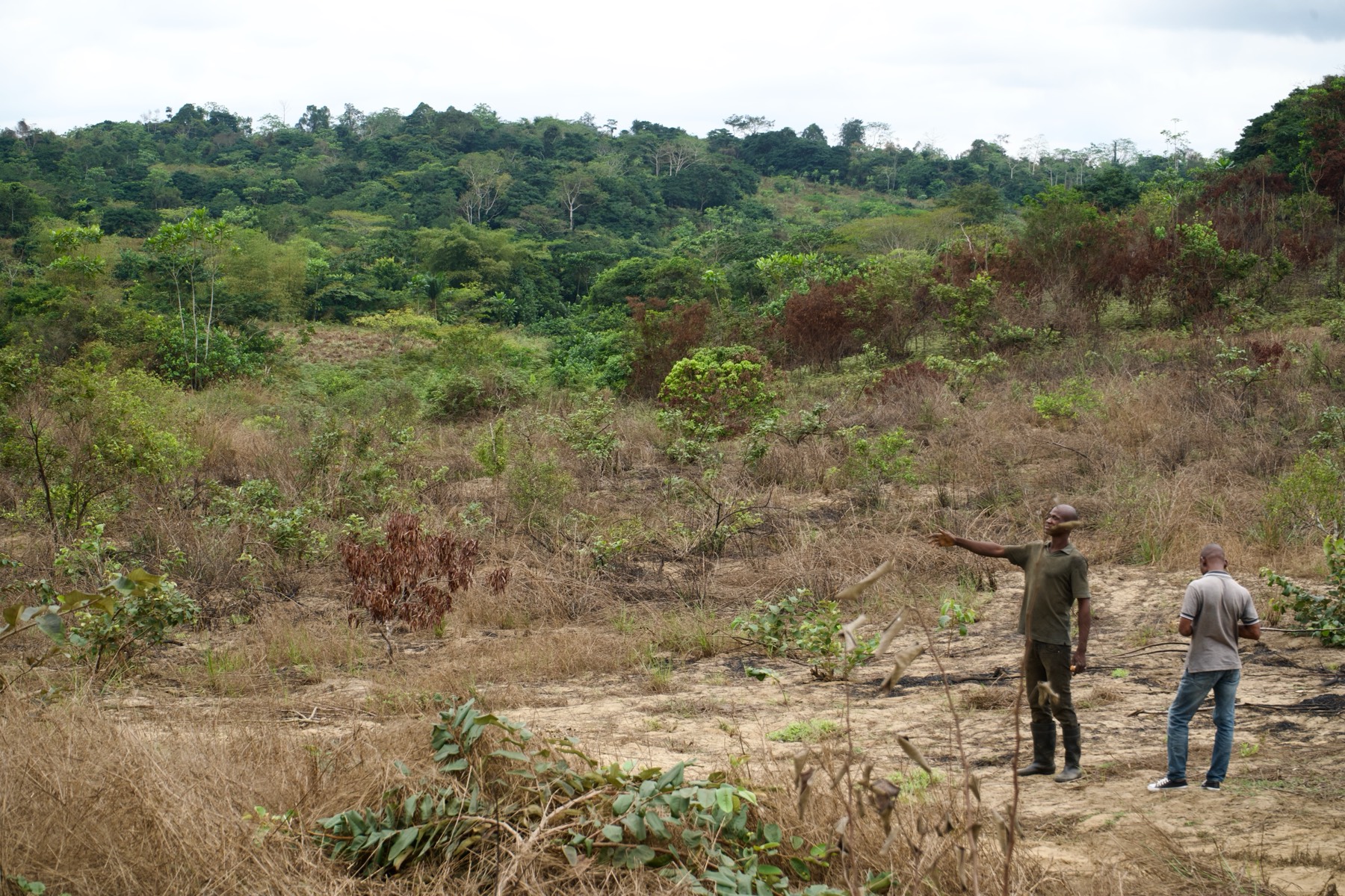 Sur le domaine de Makola, deux hommes désignent le terrain